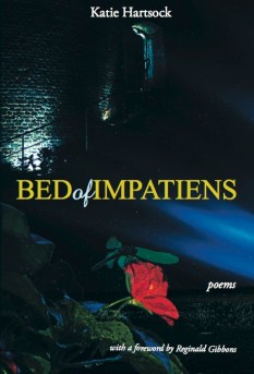 bed-of-impatiens-just the front